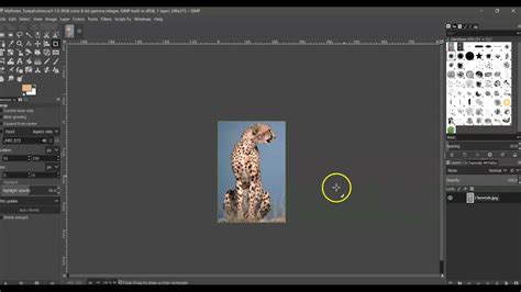 Gimp Floating Pasted Layer