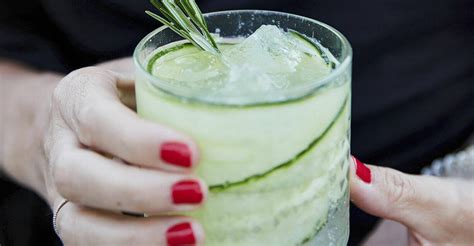 gin  samt tonic  anvisning gurka