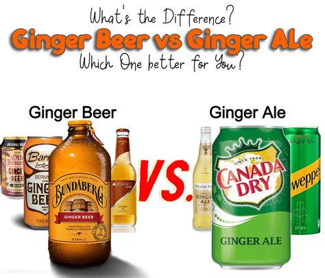 Order Ginger Ale & Ginger Beer From Gunsberg Brewing LBB