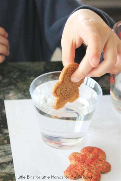 Gingerbread Science For Preschool Pre K And Kindergarten 5 Senses Science Experiment - 5 Senses Science Experiment