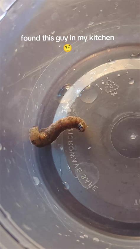 gingerpeach94 OnlyFans leaked content