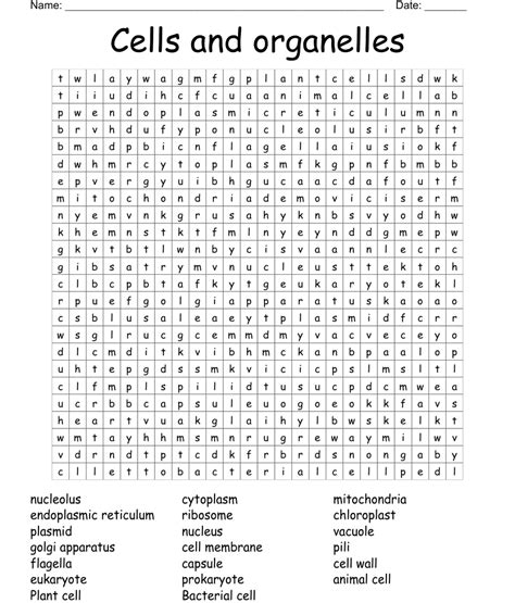 Read Online Ginormous Cells And Organelles Word Search Answer Sheet 