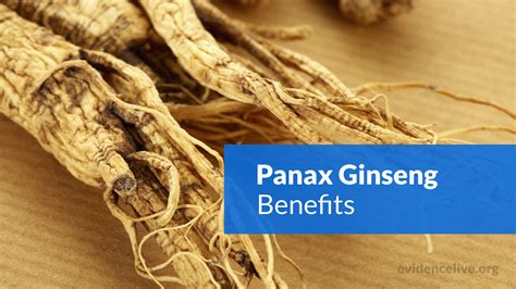 Read Ginseng Uses Dosages Side Effects Etc Of The Multi Purpose Herbal Product For Erectile Dysfunction Skin Care Weight Loss Diabetes Management Memory Enhancement Cancer Prevention Stress Etc 