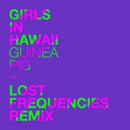 girls in hawaii guinea pig перевод песни на русский