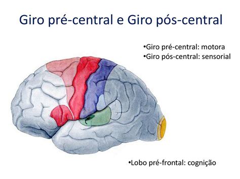 Giro Pré Central