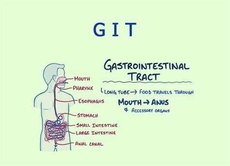 Git Full Form In Medical