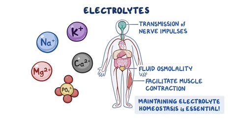 Give Two Examples For Electrolyte