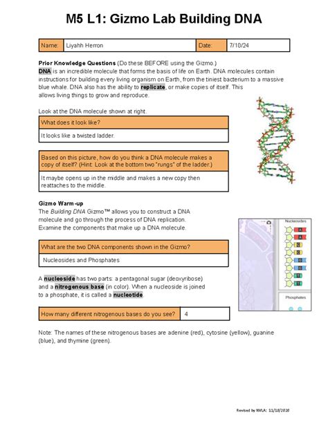 Gizmo Building Dna
