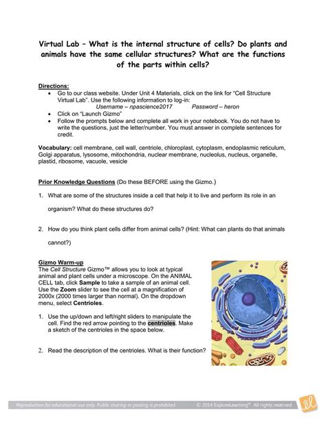 Gizmo Student Exploration