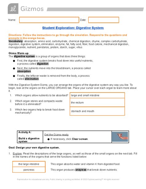 Gizmo Student Exploration Digestive System