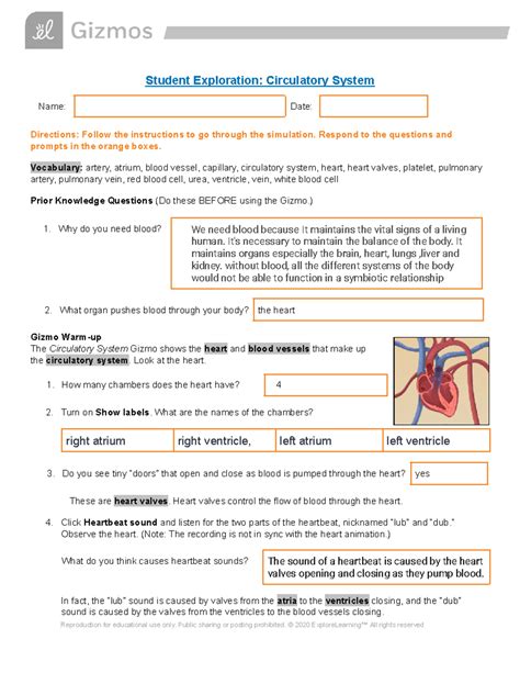 Read Online Gizmo Student Exploration Answers For Circulatory System 