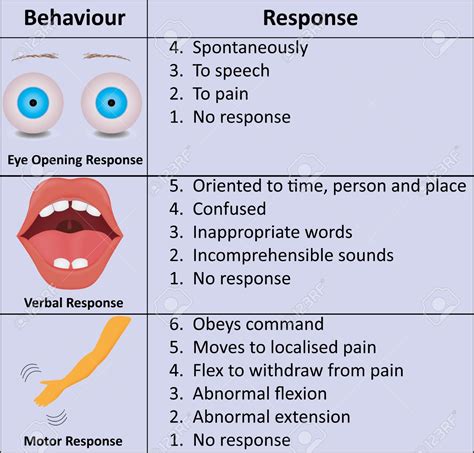 Glasgow Coma Scale Coma