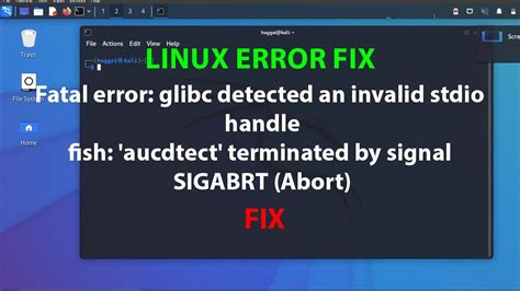 glibc detected invalid pointer linux