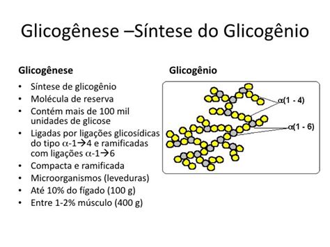 glicogenio