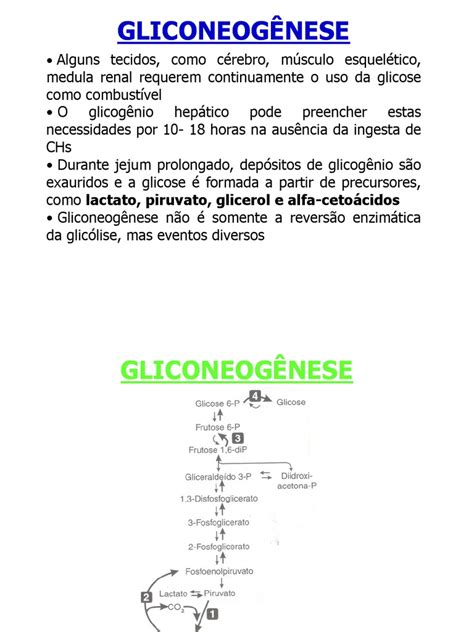 gliconeogênese-4