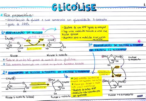 glicólise - inoar argan
