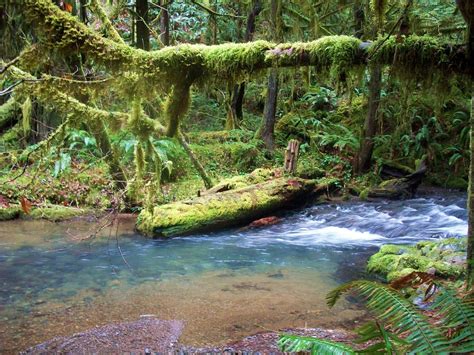 glide oregon