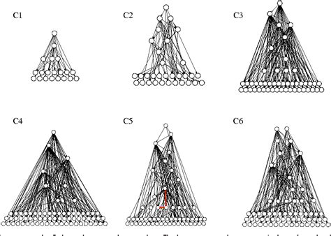 Global Network Structure Of Dominance Hierarchy Of Ant Workers