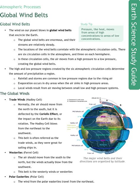 Global Wind Patterns Worksheet Eldorion Template And Cladogram Worksheet Answers Venn Diagram - Cladogram Worksheet Answers Venn Diagram