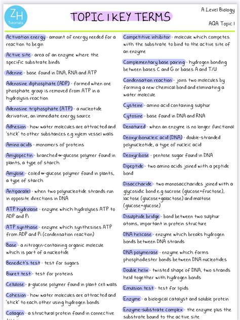 Glossary Of Biology And Biochemistry Terms Beginning With Science Words That Start With Y - Science Words That Start With Y