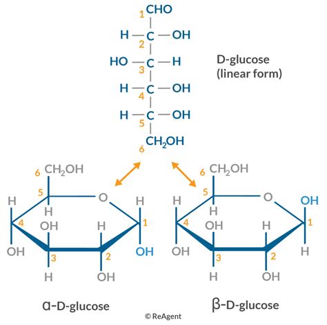 Glucose Where Is It Found