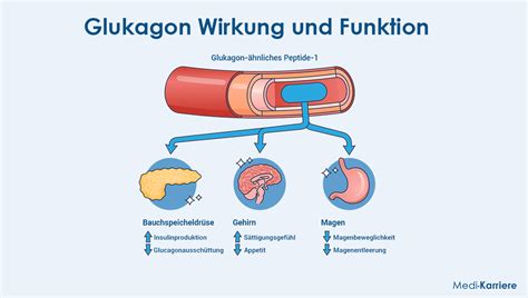 glukagon