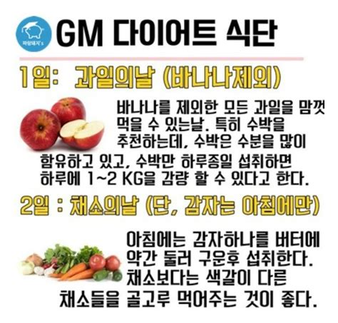 gm 다이어트