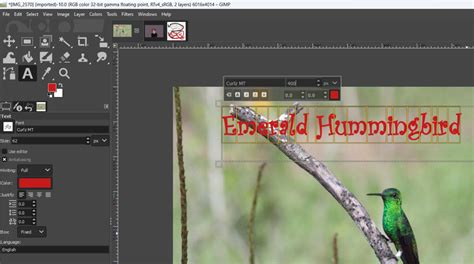 Gnu Image Manipulation Program