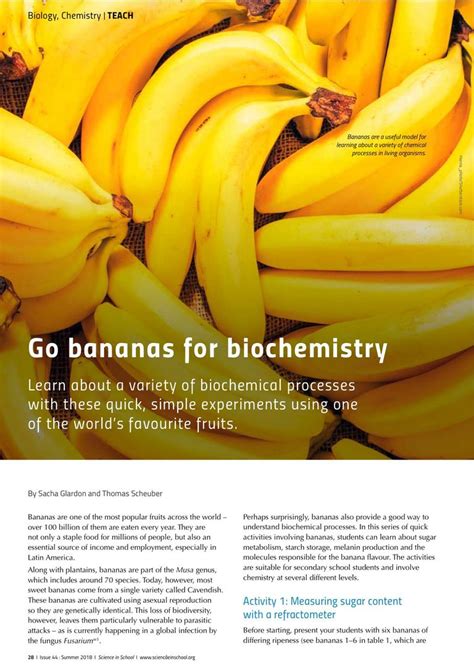 Go Bananas For Biochemistry Science In School Banana Science Experiment - Banana Science Experiment