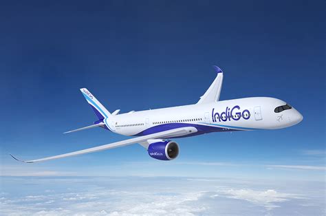 Go Indigo In