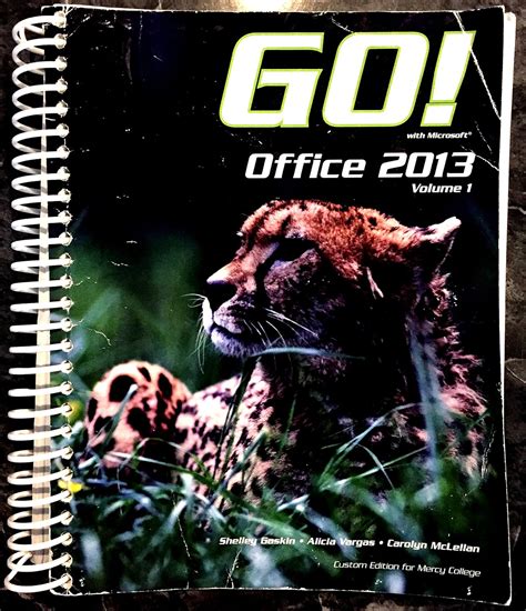 go office 2013