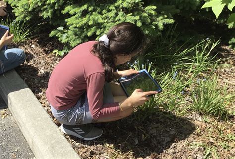 Go Outdoors On An Exciting Schoolyard Ecosystem Scavenger Science Internet Scavenger Hunt - Science Internet Scavenger Hunt