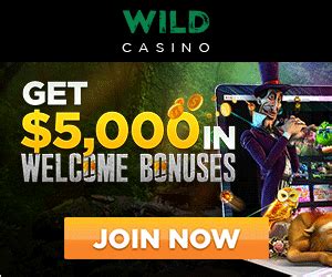 go wild casino download heqn