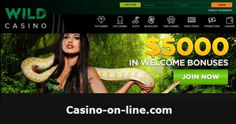 go wild casino no deposit bonus codes 2019 ittm canada