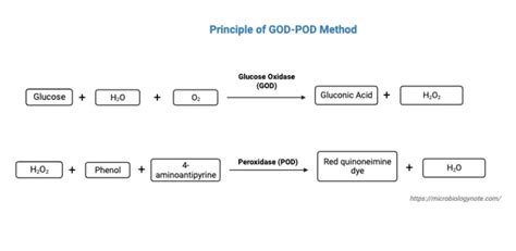 God Pod Method