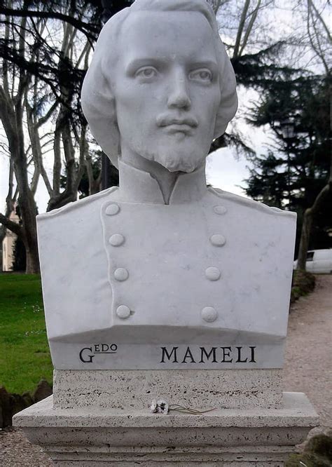 goffredo mameli biography