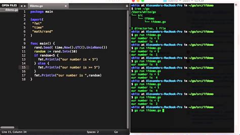 golang 6 if statements YouTube