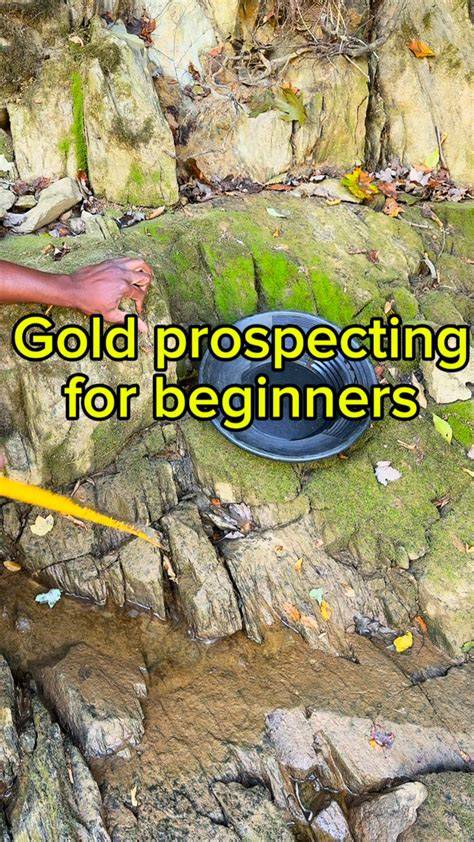 gold prospecting a beginner s guide to prospect g