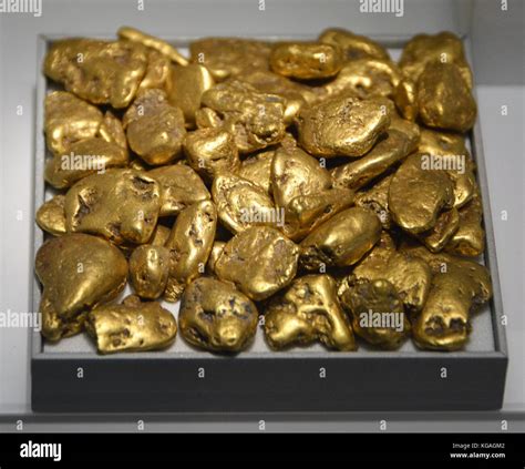 Read Gold Nuggets 