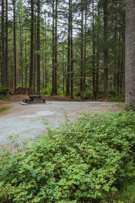 golden ears camping site