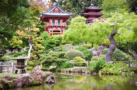 Golden Gate Park Japanese Garden