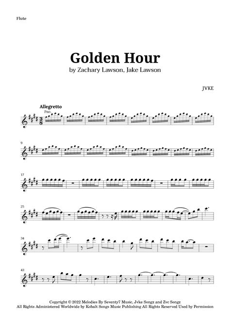 golden hour on flute notes #music #flute #goldenhour i was very …