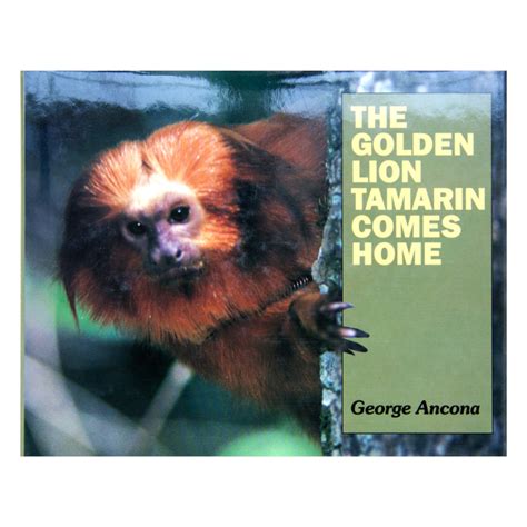 Full Download Golden Lion Tamarin Comes Home Comprehension Answers 