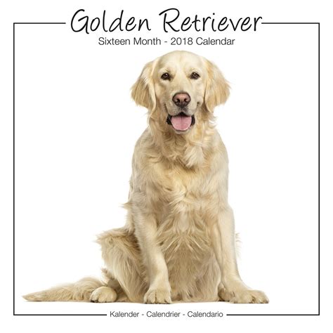 Read Golden Retriever Calendar Dog Breed Calendars 2017 2018 Wall Calendars 16 Month By Avonside 
