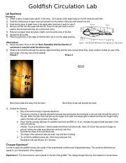 Download Goldfish Circulation Lab Answers 