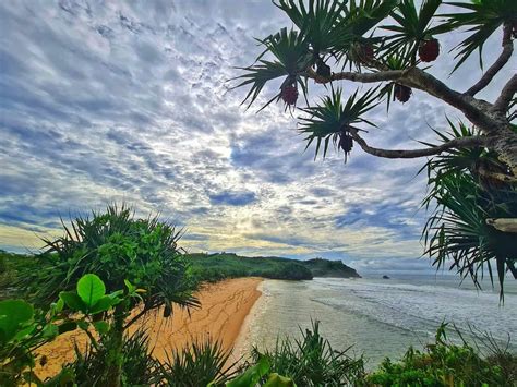 gondo mayit | Pantai Gondo Mayit nh ca Gondo Mayit