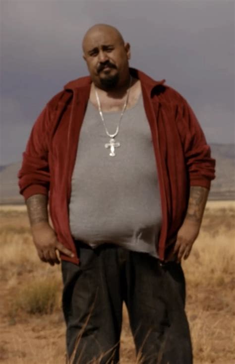 Gonzo Breaking Bad