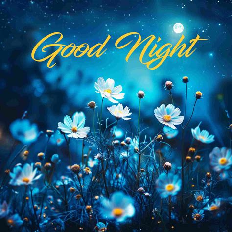 Good And Night