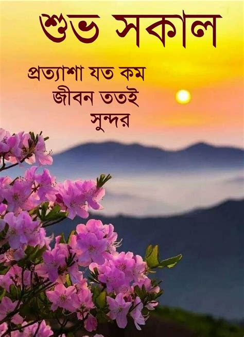 Good In Bengali