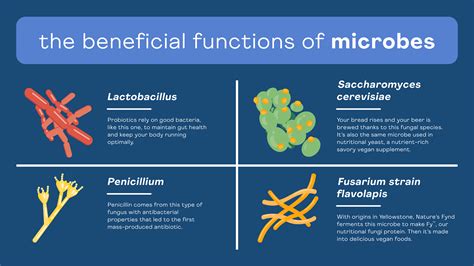 good microorganisms